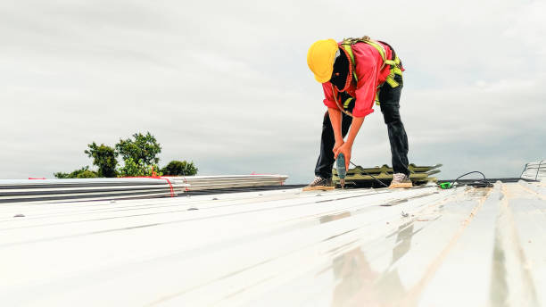 Best Sheet Metal Roofing  in Warren, PA